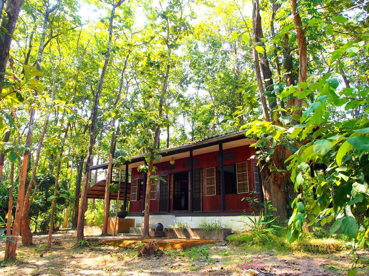 Golden Teak Homestay Mae Rim Exterior foto